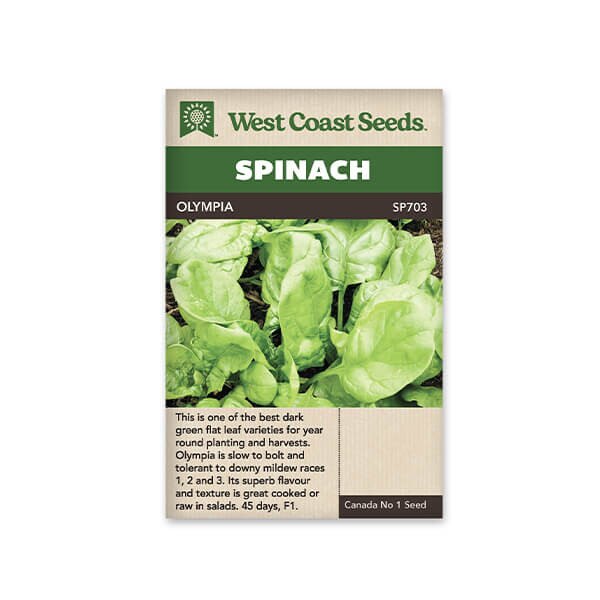 Spinach Seeds Seaside F1